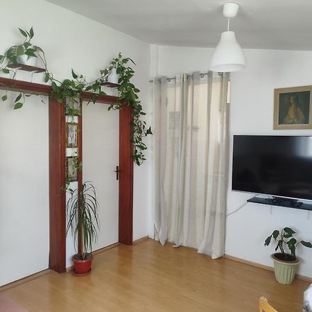 Villa Kuca Za Odmor Tri Sunca à Pula Extérieur photo